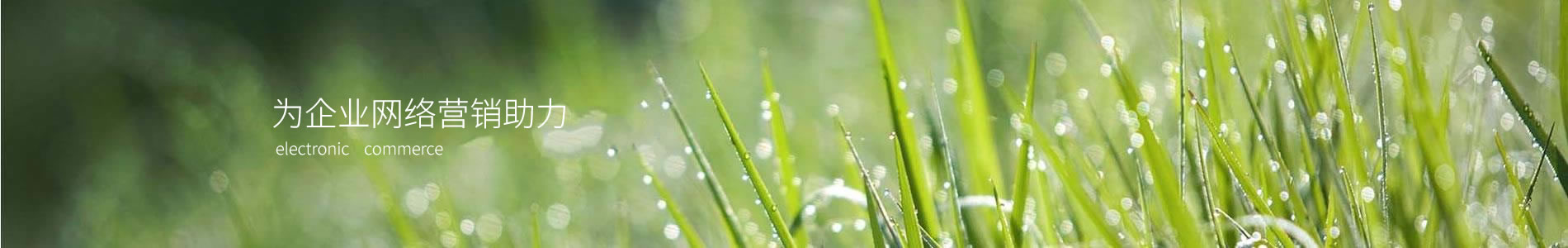 ĴʦĻ޹˾